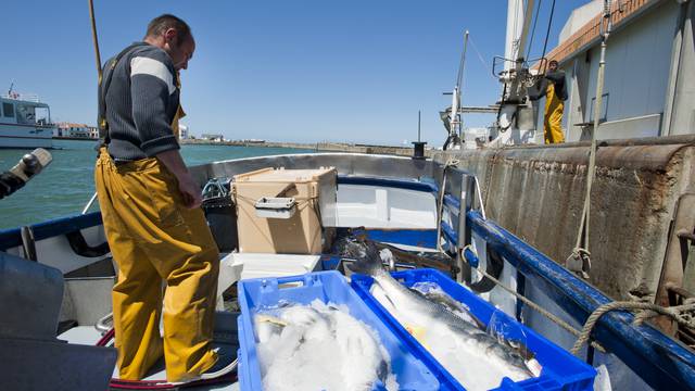 Fishing and agriculture