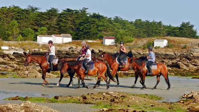 Riding, les Violettes equestrian centre, Ile d'Yeu