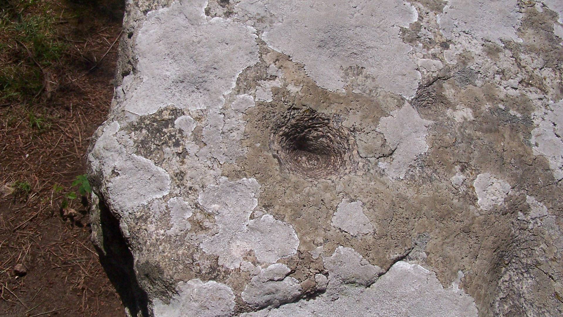 Cupules in the Roche aux Fras – Ile d’Yeu