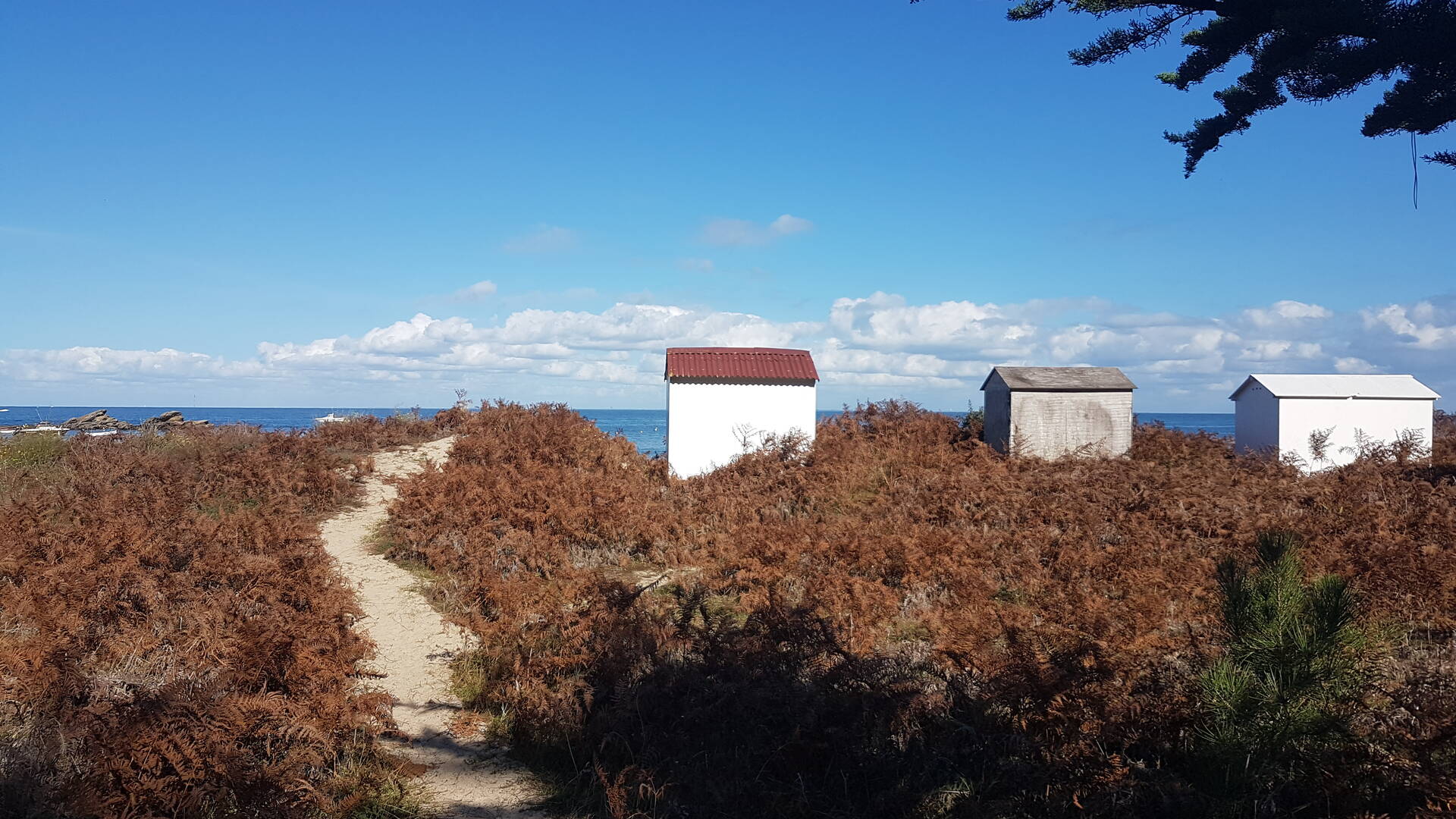 Huts of the Plage des Sapins - L'ile d'Yeu