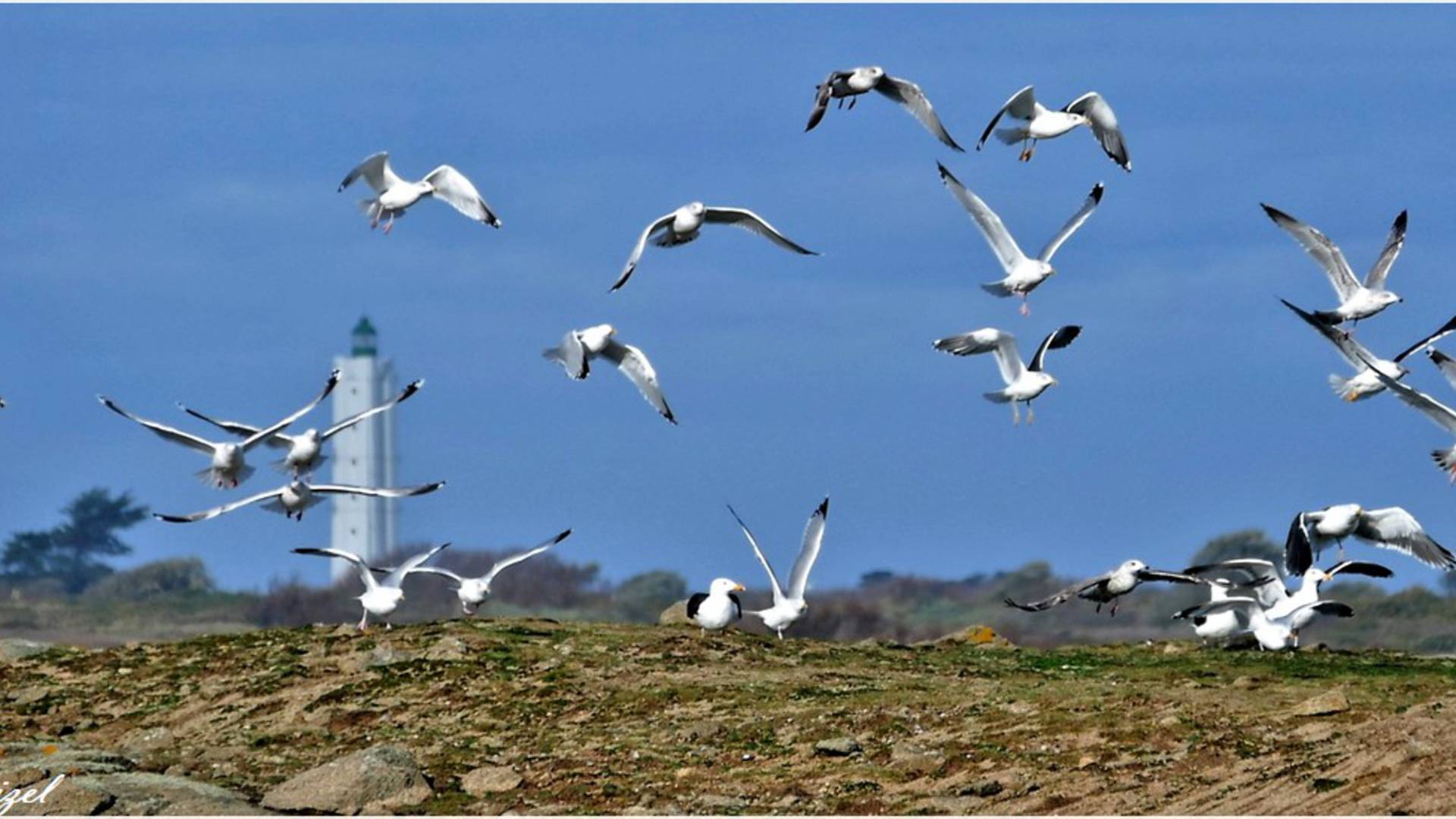 Light House - ile d'Yeu island © Luna Troizel