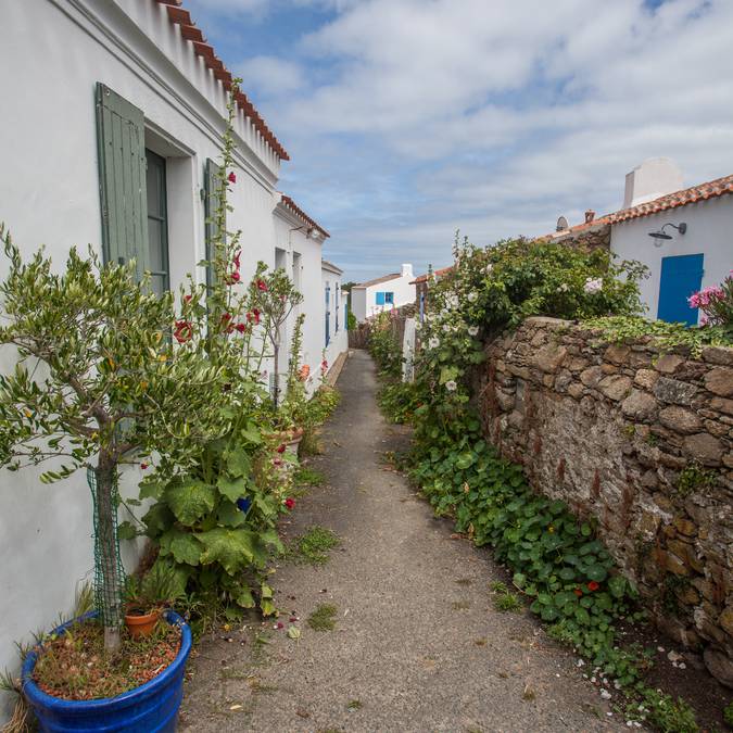 Streets of Saint Sauveur, Ile d'Yeu 